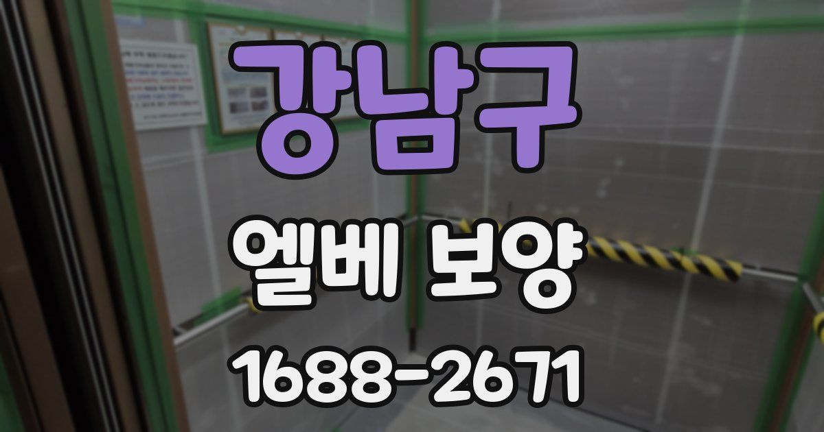 강남구 엘베 보양