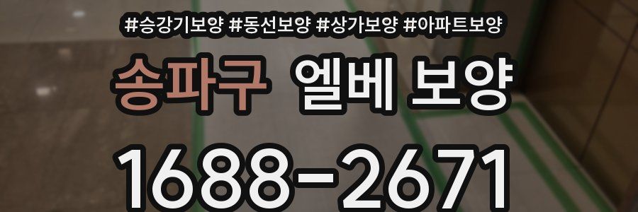 송파구 엘베 보양