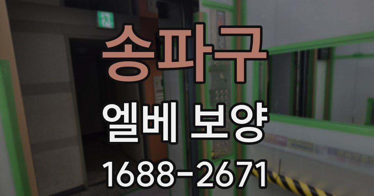 송파구 엘베 보양