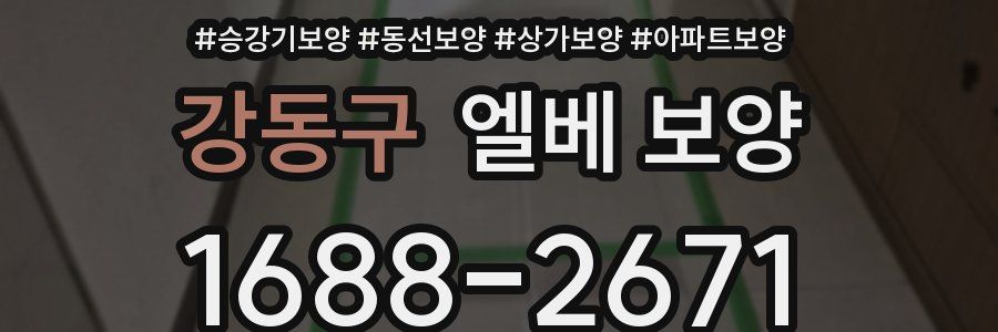 강동구 엘베 보양