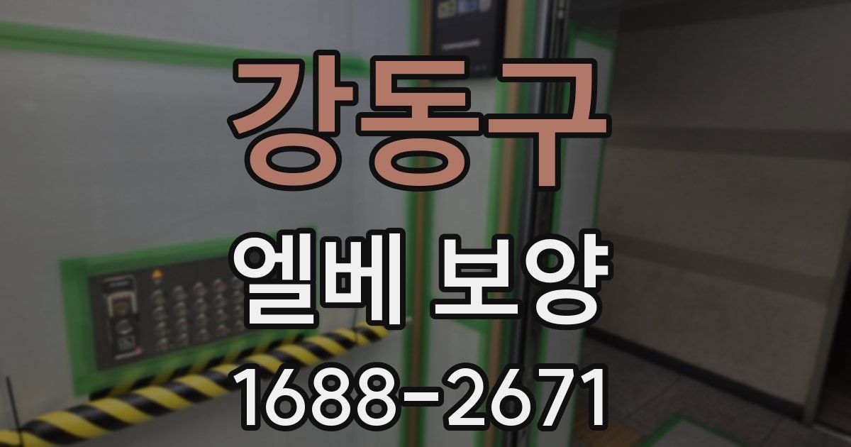강동구 엘베 보양