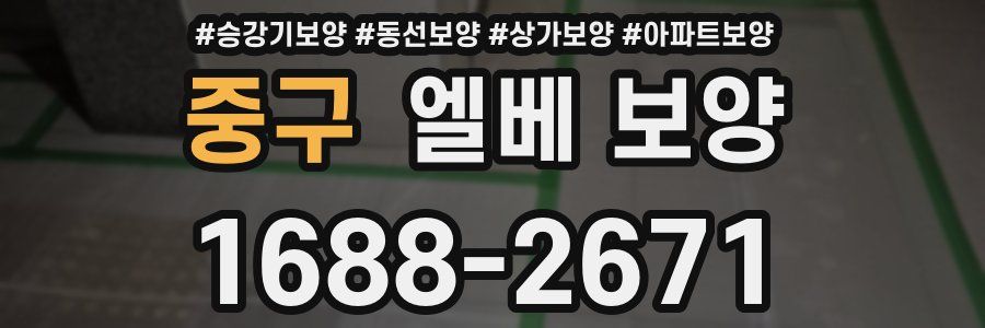 중구 엘베 보양