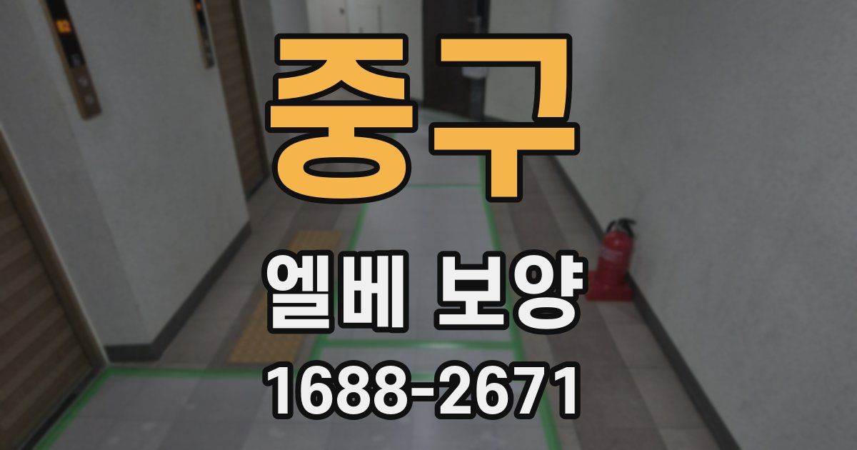 중구 엘베 보양