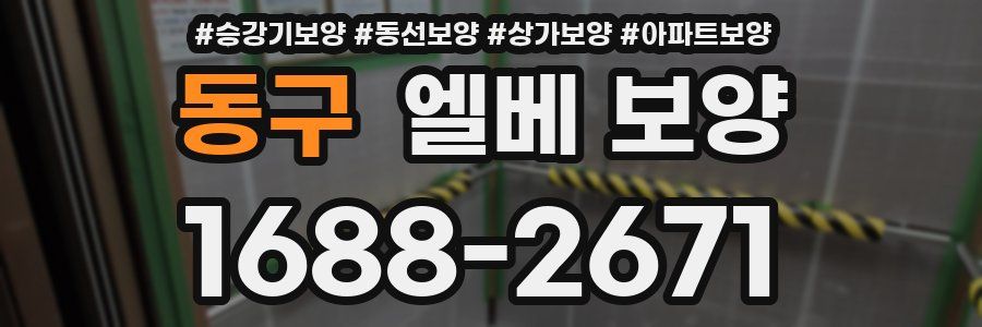 동구 엘베 보양