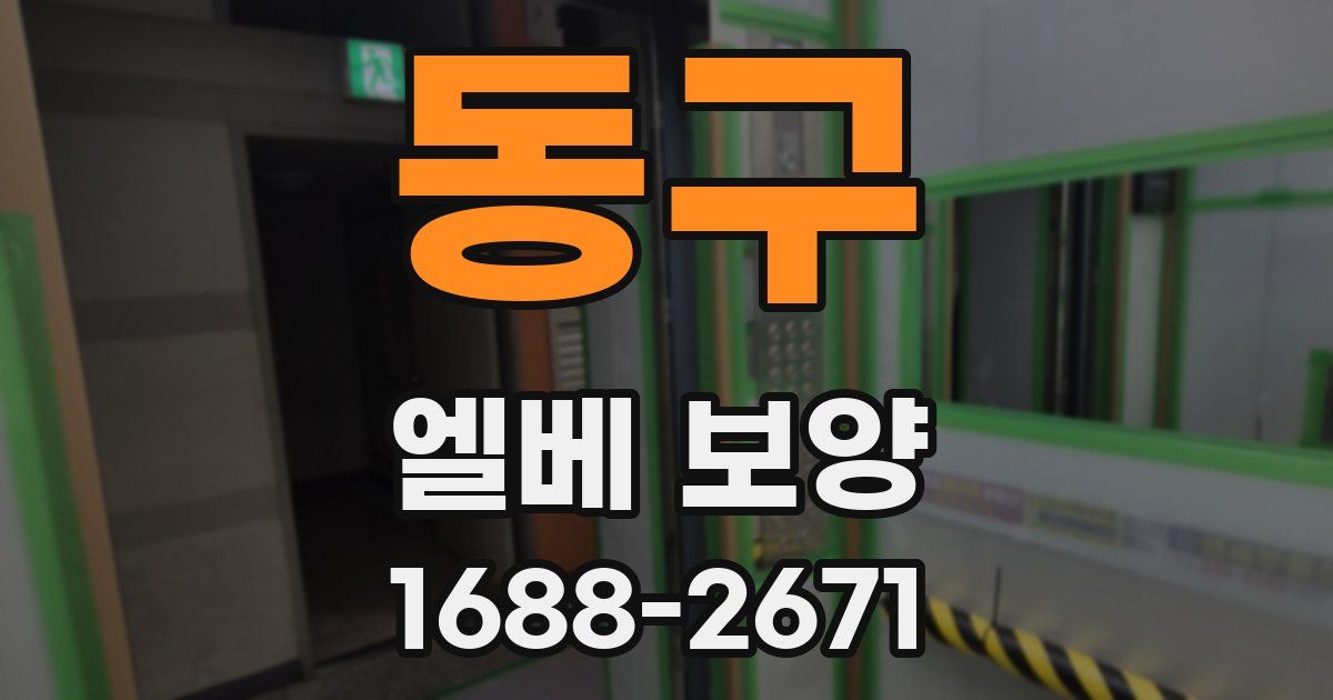 동구 엘베 보양