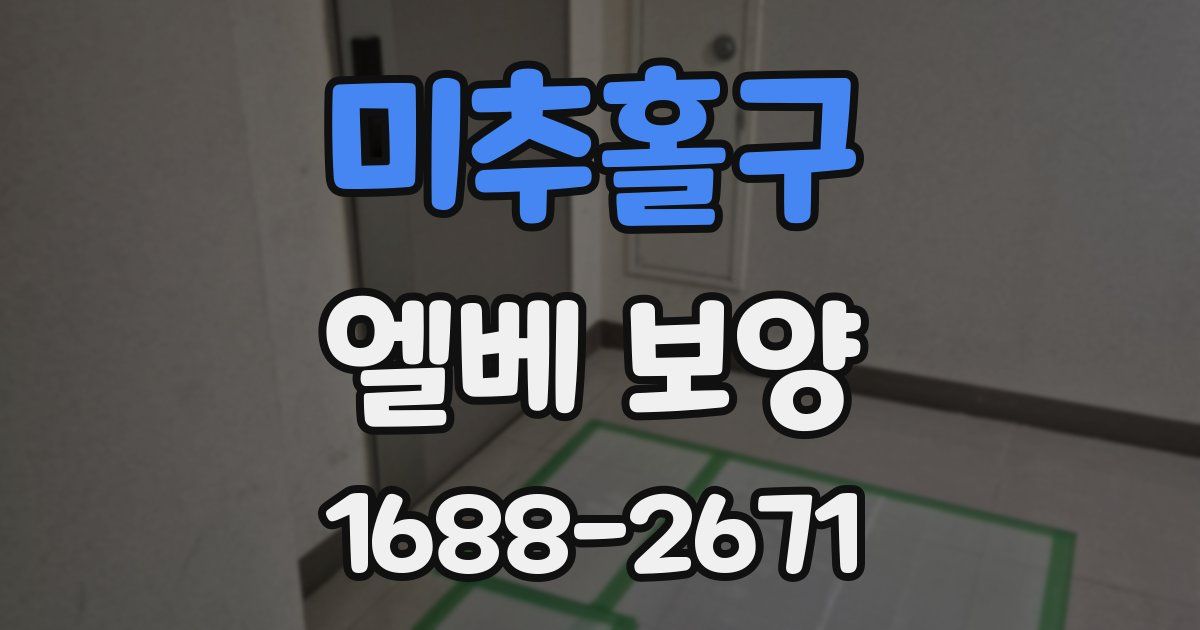 미추홀구 엘베 보양