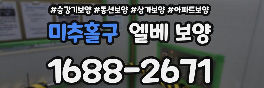 미추홀구 엘베 보양