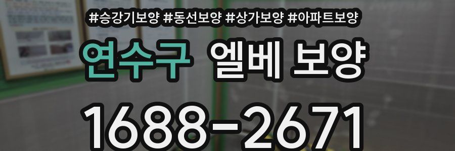 연수구 엘베 보양