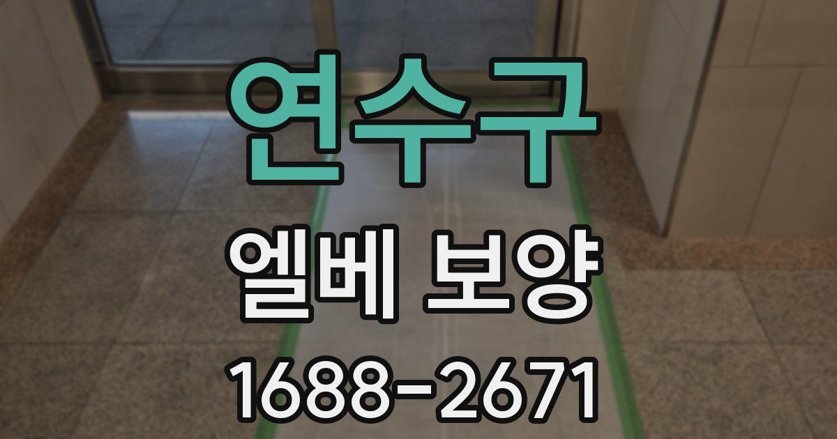 연수구 엘베 보양