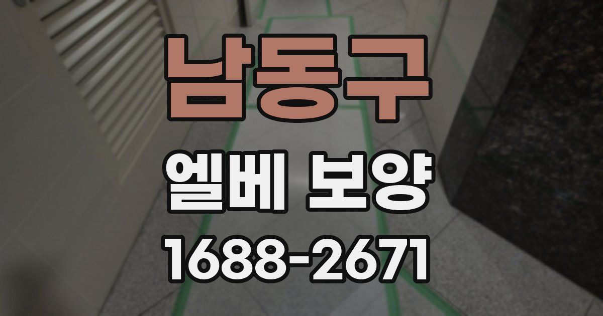 남동구 엘베 보양