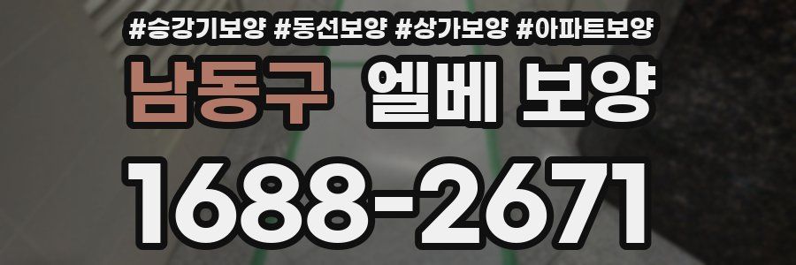 남동구 엘베 보양