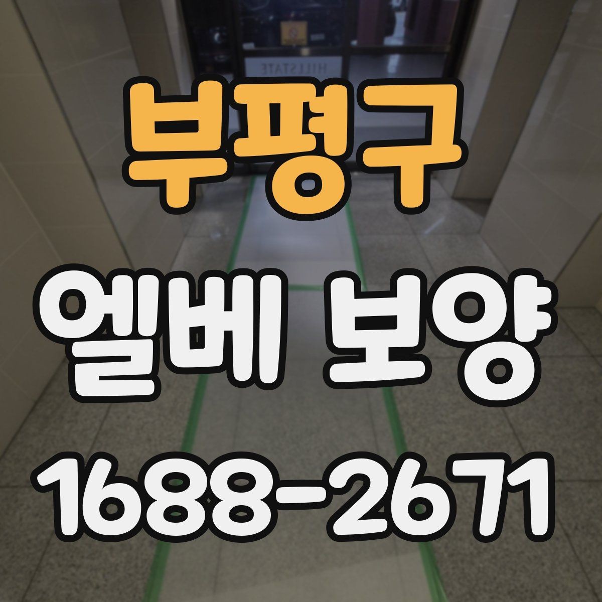 부평구 엘베 보양 현장마다 달라지는 보호 범위와 순서