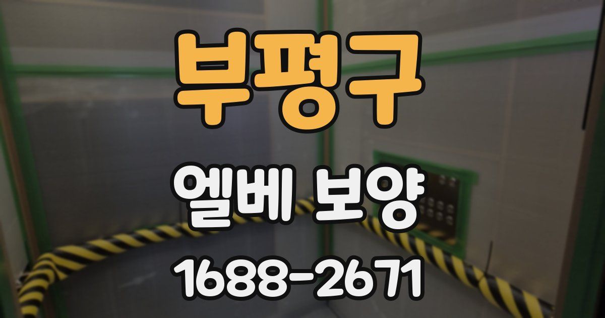 부평구 엘베 보양