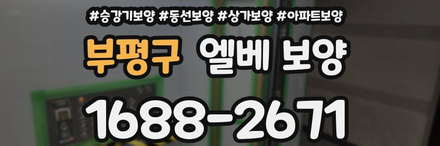 부평구 엘베 보양