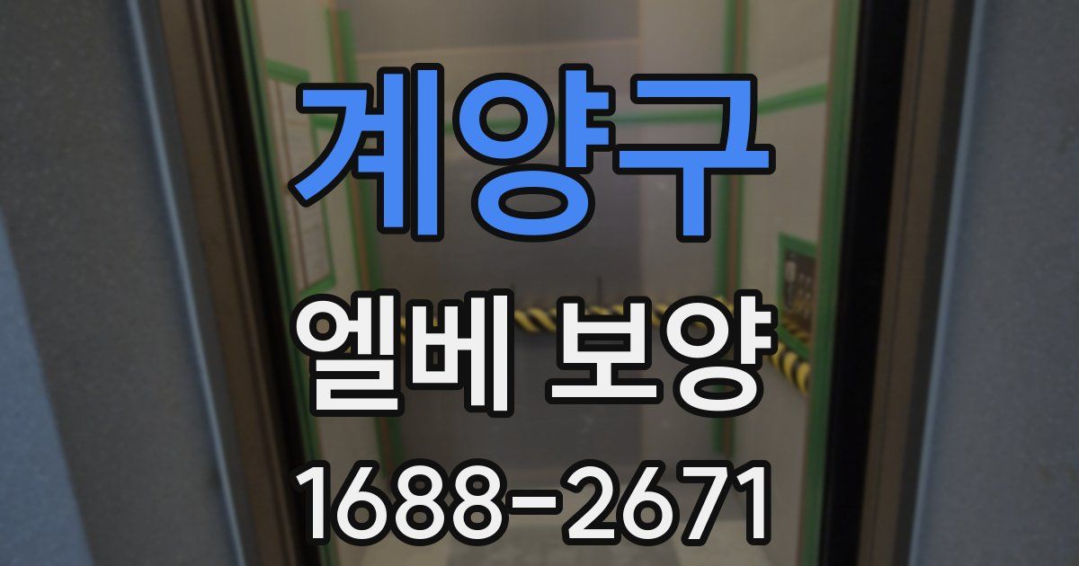 계양구 엘베 보양