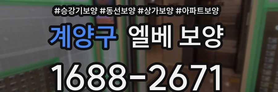 계양구 엘베 보양