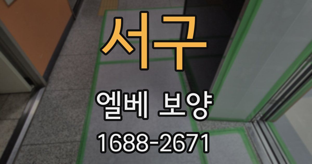 서구 엘베 보양