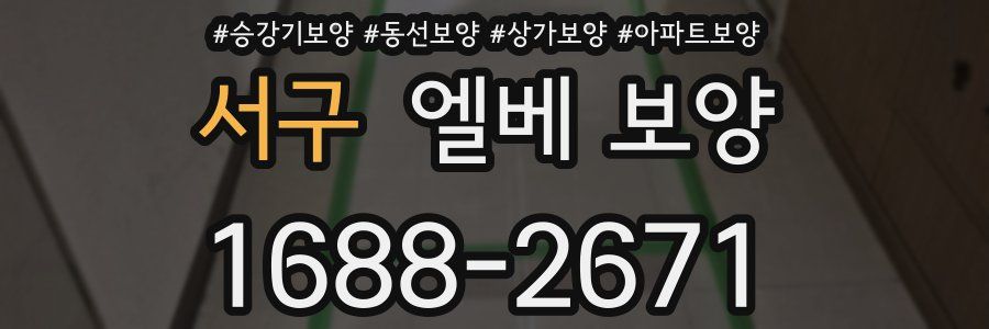 서구 엘베 보양