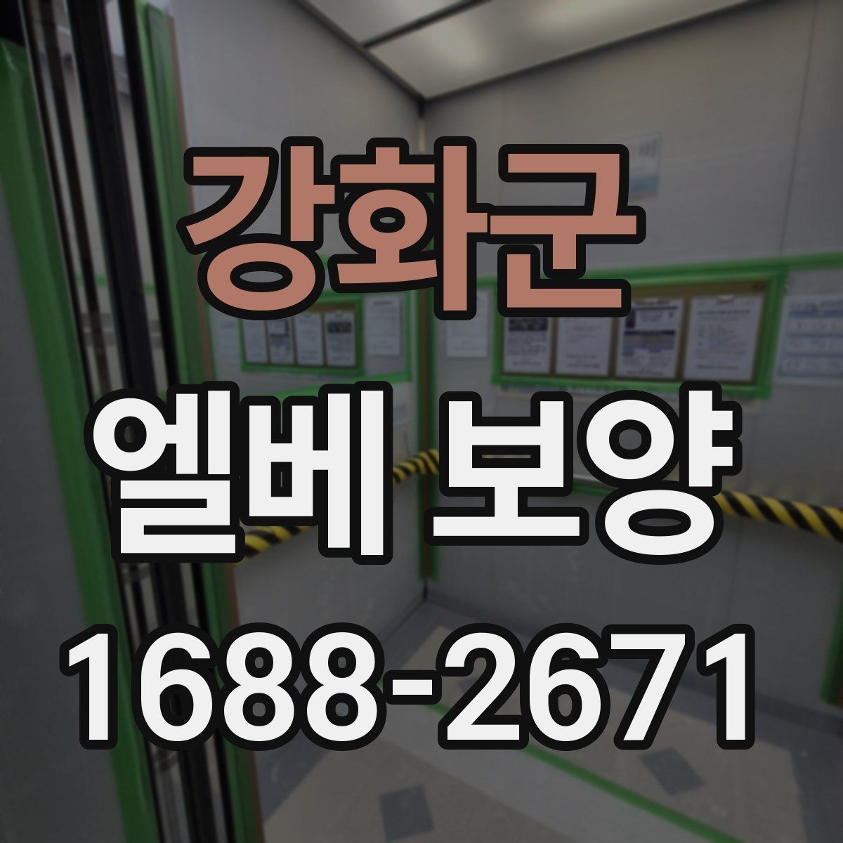 강화군 엘베 보양 자재 종류별 적용 범위와 선택 기준