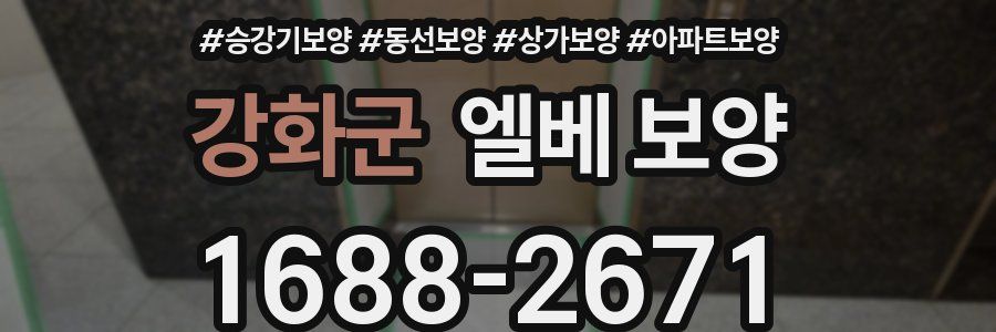 강화군 엘베 보양
