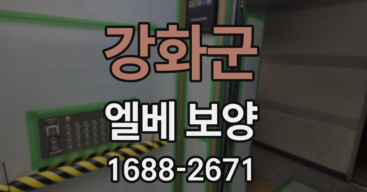 강화군 엘베 보양