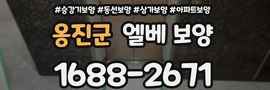 옹진군 엘베 보양