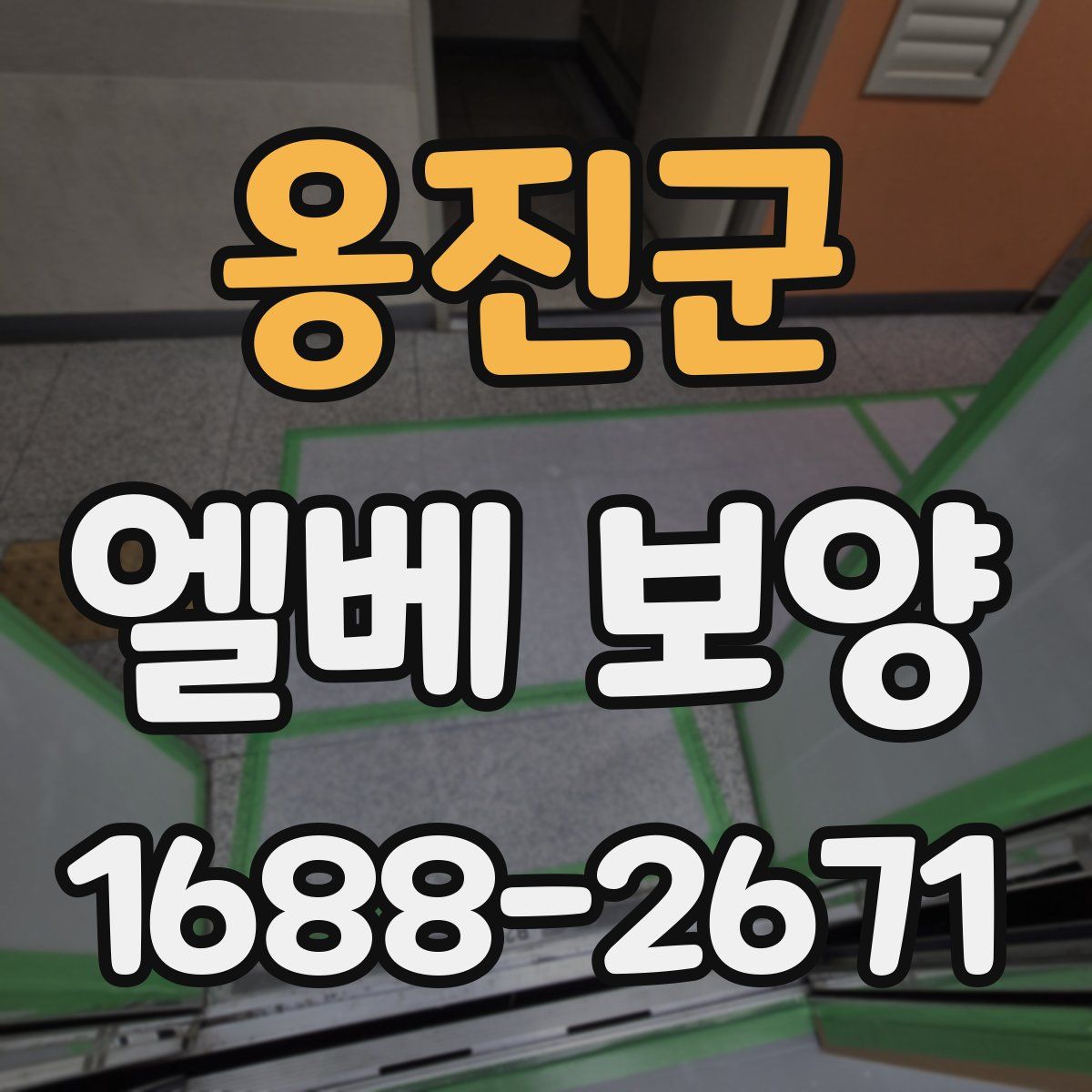 옹진군 엘베 보양