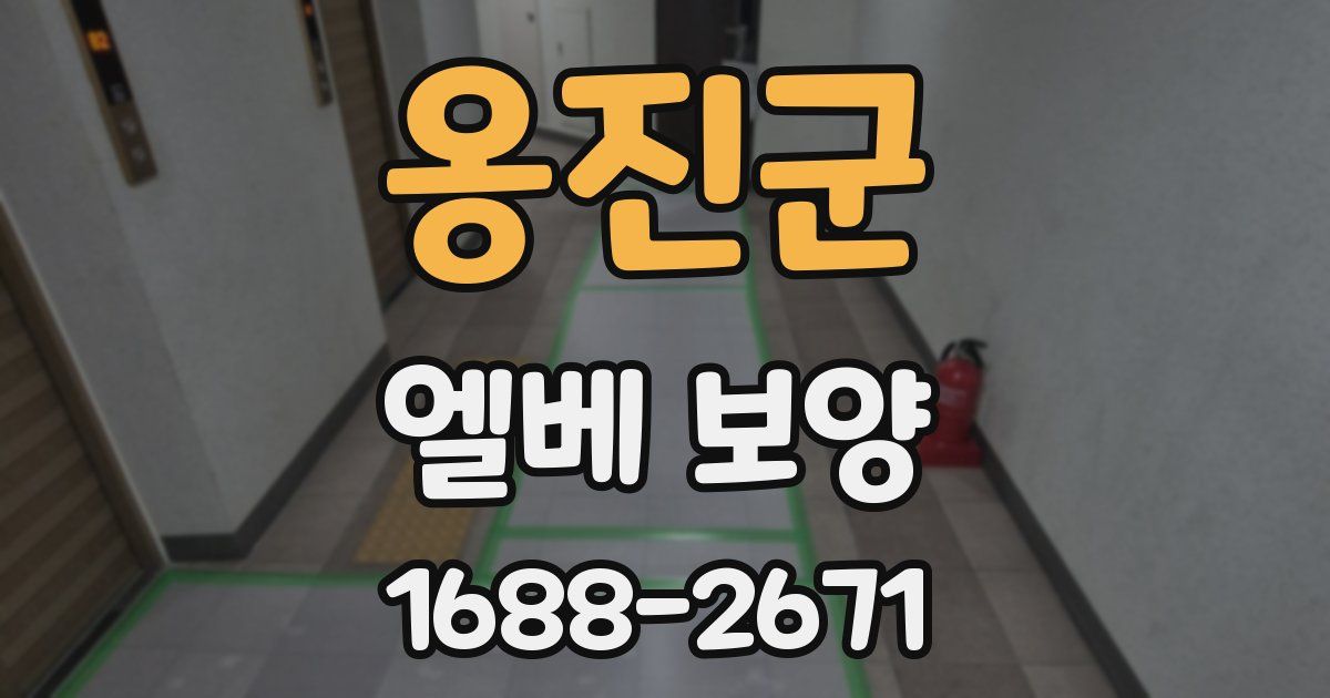 옹진군 엘베 보양