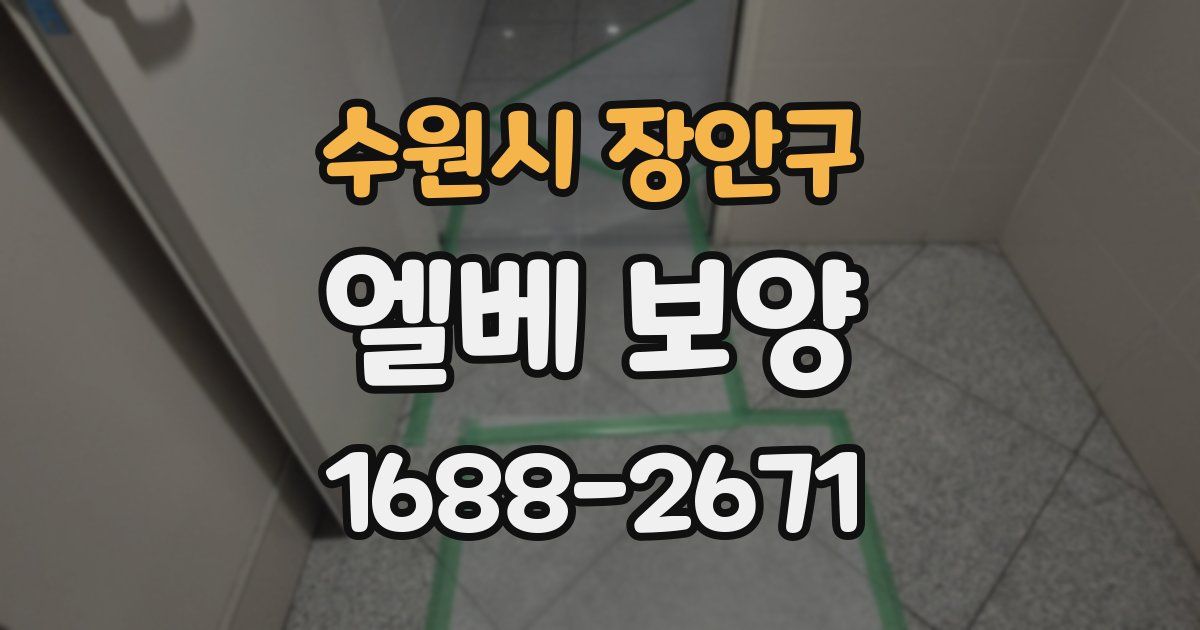 수원시 장안구 엘베 보양