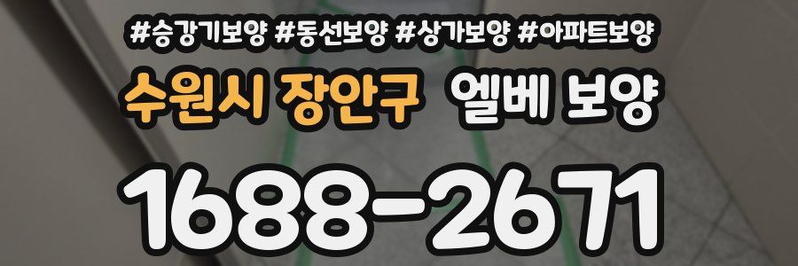 수원시 장안구 엘베 보양