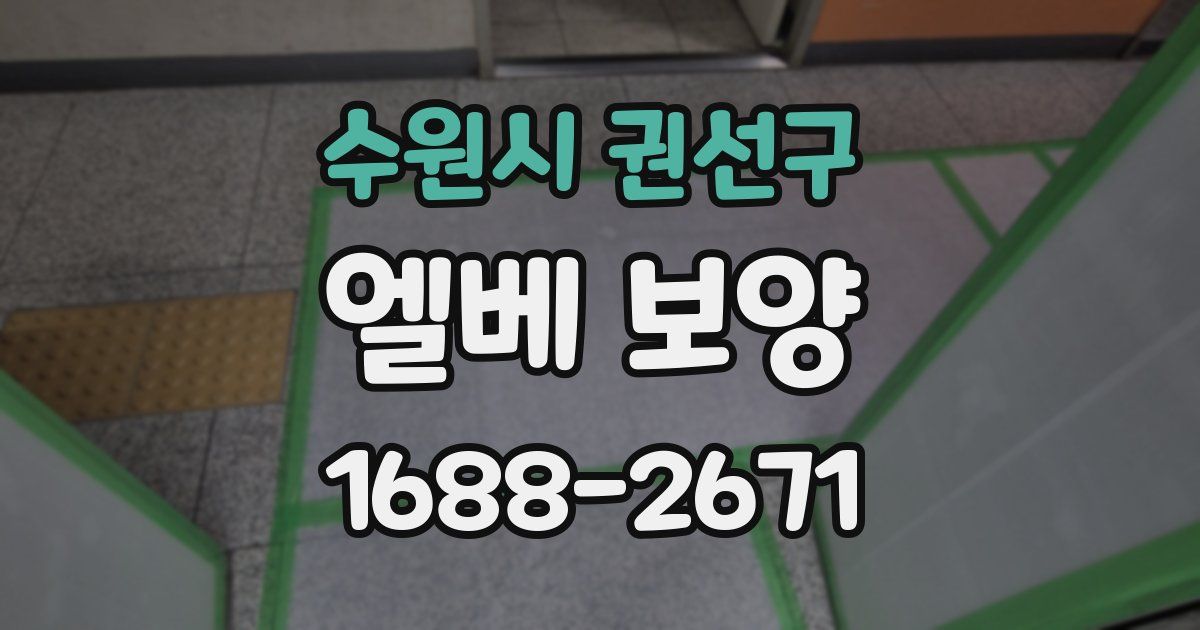 수원시 권선구 엘베 보양