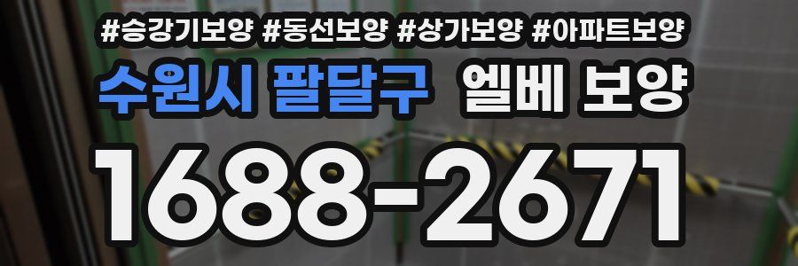 수원시 팔달구 엘베 보양