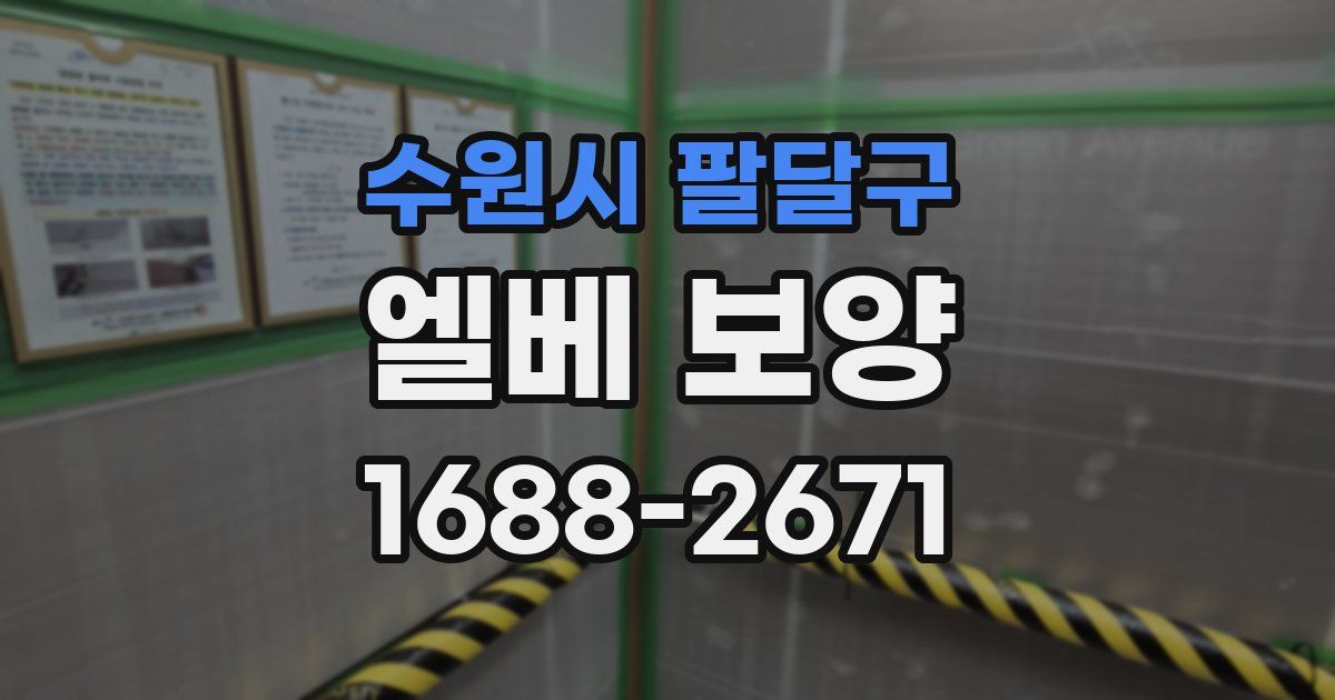 수원시 팔달구 엘베 보양