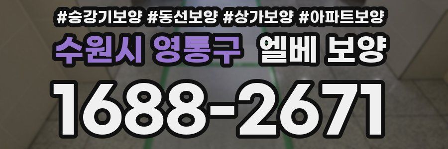 수원시 영통구 엘베 보양