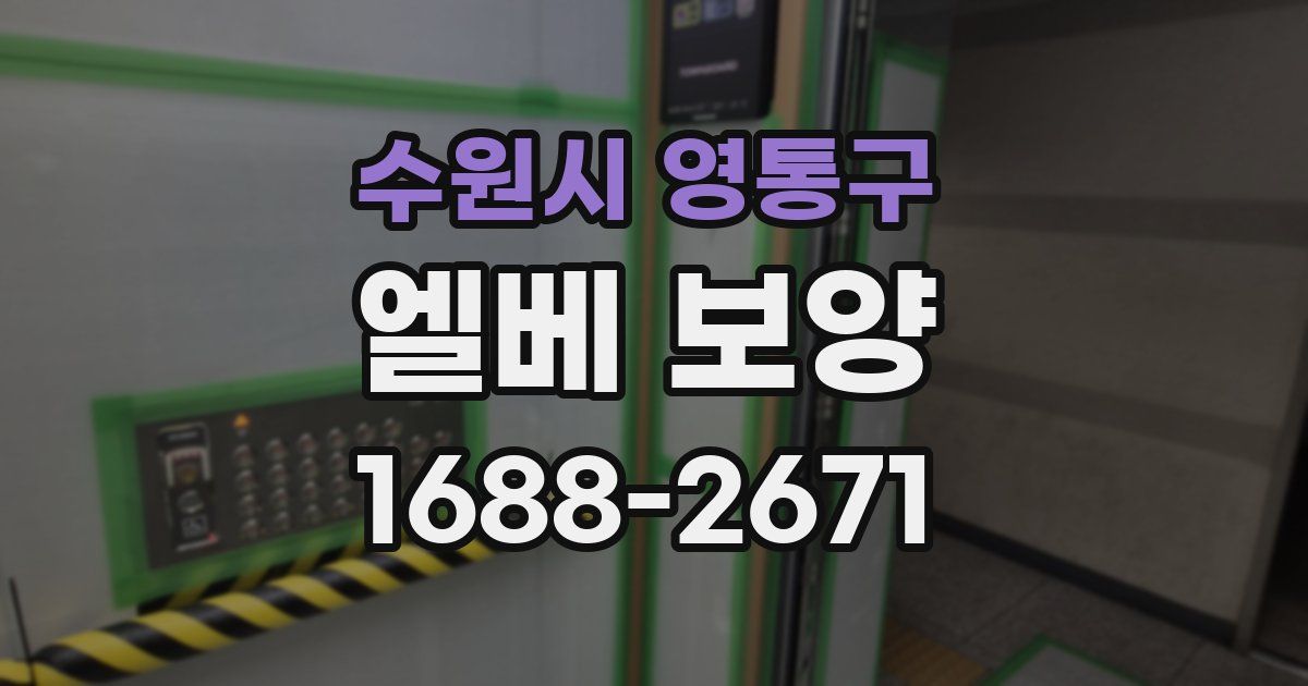 수원시 영통구 엘베 보양