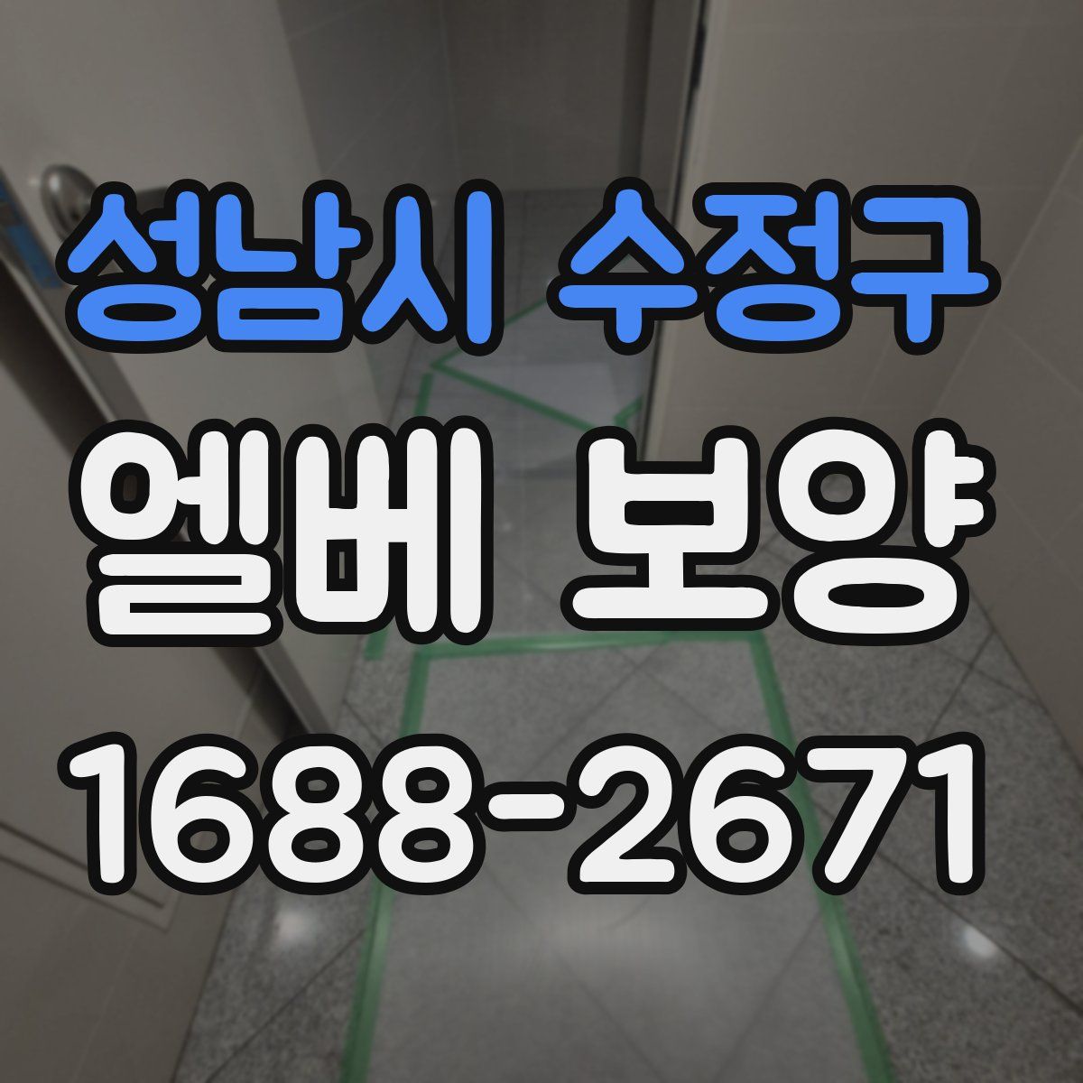 성남시 수정구 엘베 보양