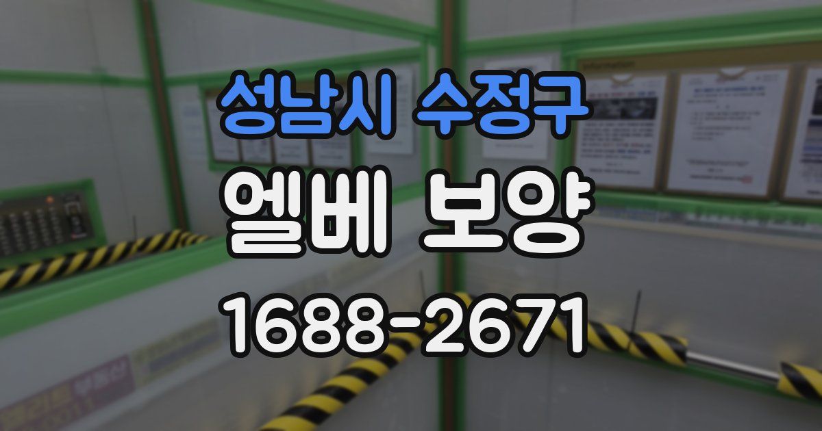 성남시 수정구 엘베 보양