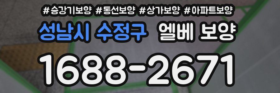 성남시 수정구 엘베 보양