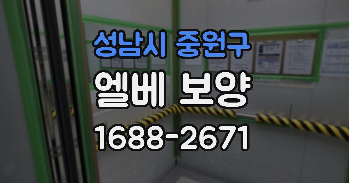 성남시 중원구 엘베 보양