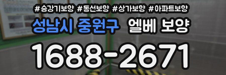 성남시 중원구 엘베 보양
