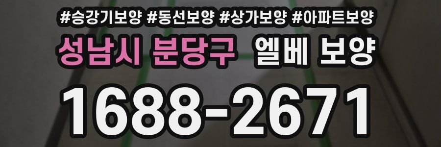 성남시 분당구 엘베 보양