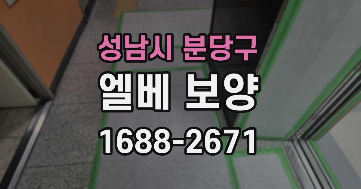 성남시 분당구 엘베 보양