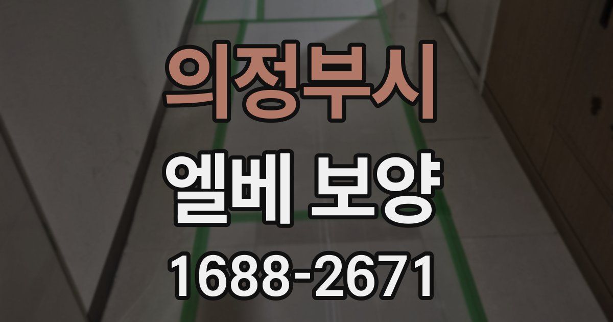 의정부시 엘베 보양