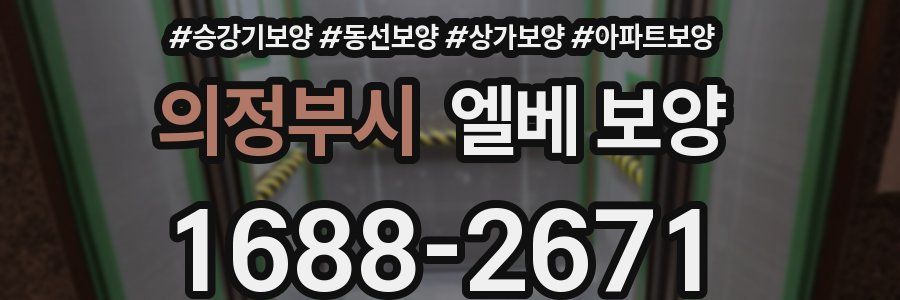 의정부시 엘베 보양