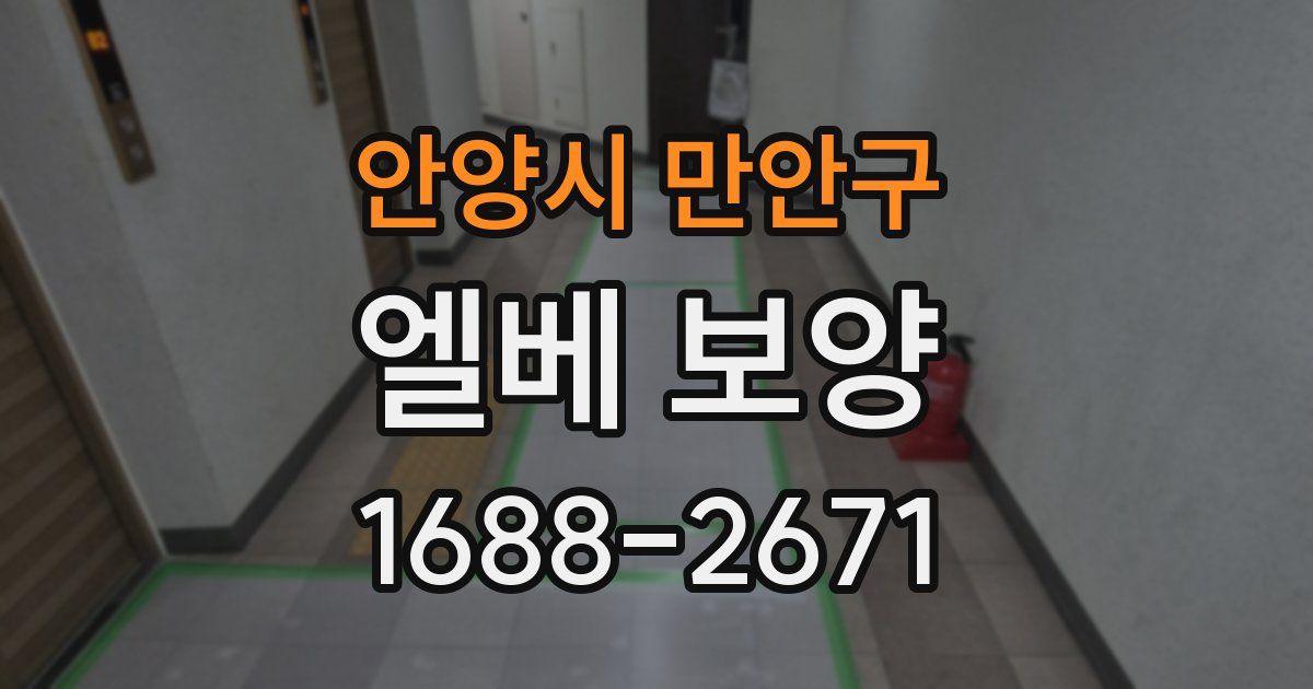 안양시 만안구 엘베 보양