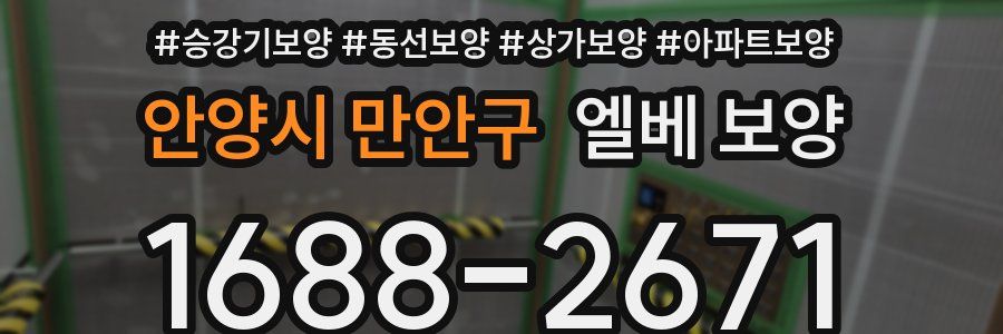 안양시 만안구 엘베 보양