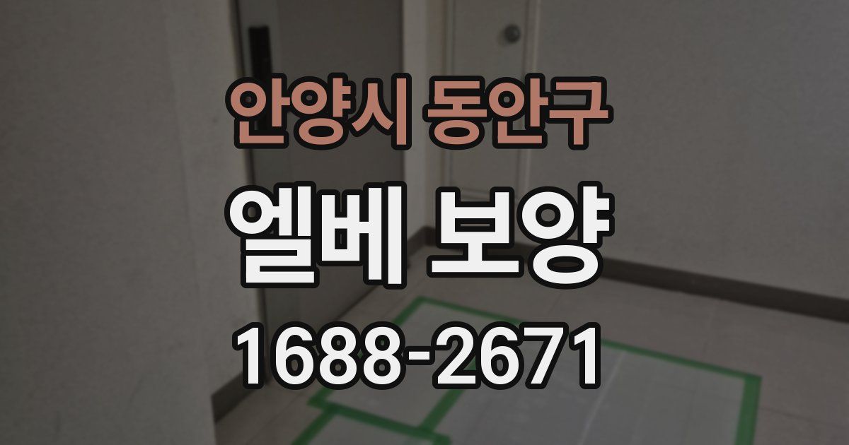 안양시 동안구 엘베 보양