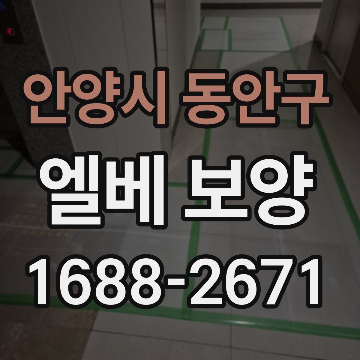 안양시 동안구 엘베 보양