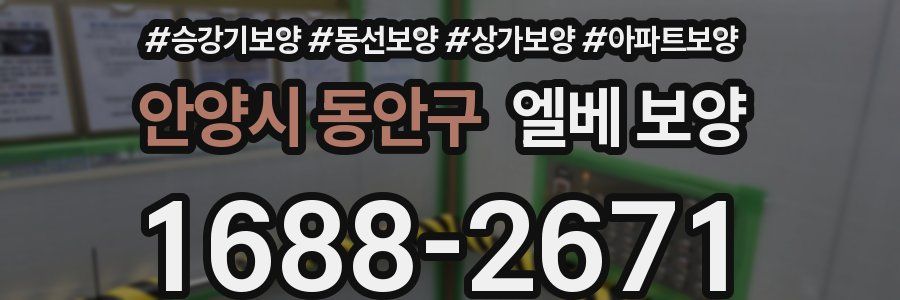 안양시 동안구 엘베 보양