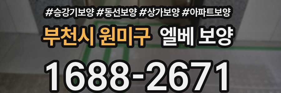 부천시 원미구 엘베 보양